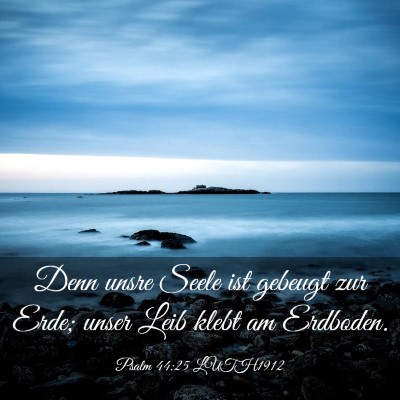 Picture 03 - Psalm 44:25 LUTH1912 - Denn unsre Seele ist gebeugt zur Erde; unser Leib - Bible Verse Picture