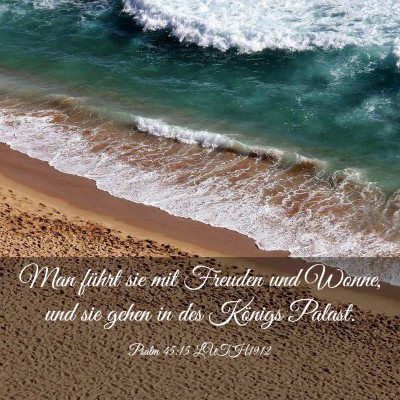 Picture 03 - Psalm 45:15 LUTH1912 - Man führt sie mit Freuden und Wonne, und sie - Bible Verse Picture