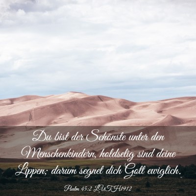 Picture 03 - Psalm 45:2 LUTH1912 - Du bist der Schönste unter den Menschenkindern, - Bible Verse Picture