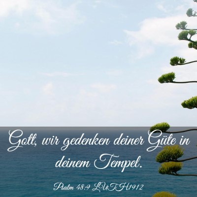 Picture 03 - Psalm 48:9 LUTH1912 - Gott, wir gedenken deiner Güte in deinem - Bible Verse Picture