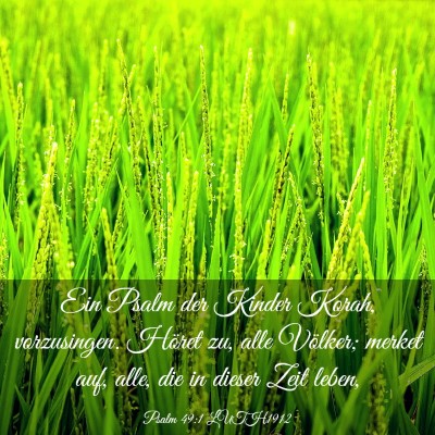 Picture 03 - Psalm 49:1 LUTH1912 - Ein Psalm der Kinder Korah, vorzusingen. Höret - Bible Verse Picture