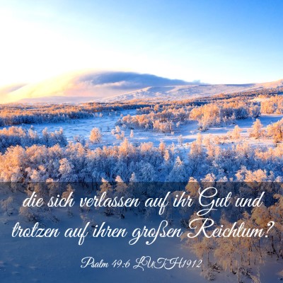 Picture 03 - Psalm 49:6 LUTH1912 - die sich verlassen auf ihr Gut und trotzen auf - Bible Verse Picture
