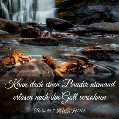 Picture 03 - Psalm 49:7 LUTH1912 - Kann doch einen Bruder niemand erlösen noch ihn - Bible Verse Picture