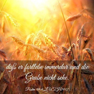 Picture 03 - Psalm 49:9 LUTH1912 - daß er fortlebe immerdar und die Grube nicht - Bible Verse Picture