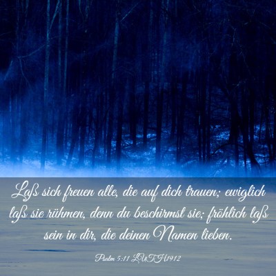Picture 03 - Psalm 5:11 LUTH1912 - Laß sich freuen alle, die auf dich trauen; - Bible Verse Picture