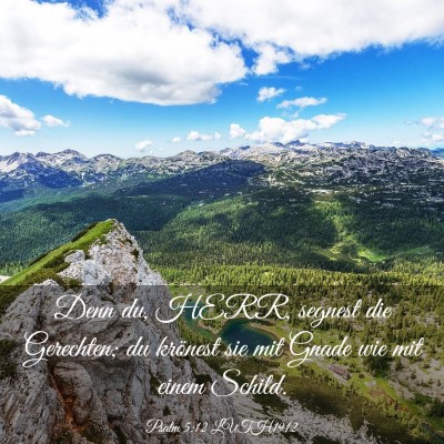 Picture 03 - Psalm 5:12 LUTH1912 - Denn du, HERR, segnest die Gerechten; du krönest - Bible Verse Picture