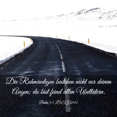 Picture 03 - Psalm 5:5 LUTH1912 - Die Ruhmredigen bestehen nicht vor deinen Augen; - Bible Verse Picture