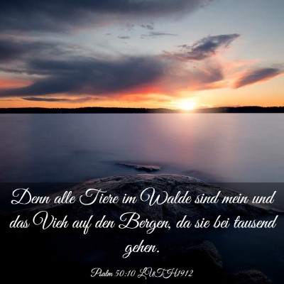 Picture 03 - Psalm 50:10 LUTH1912 - Denn alle Tiere im Walde sind mein und das Vieh - Bible Verse Picture