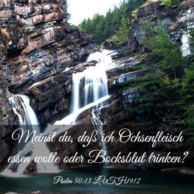 Picture 03 - Psalm 50:13 LUTH1912 - Meinst du, daß ich Ochsenfleisch essen wolle - Bible Verse Picture