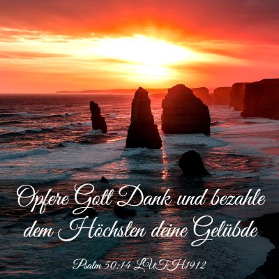 Picture 03 - Psalm 50:14 LUTH1912 - Opfere Gott Dank und bezahle dem Höchsten deine - Bible Verse Picture