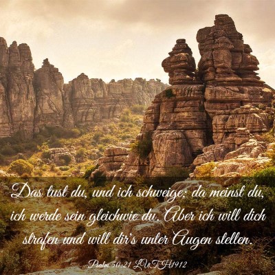 Picture 03 - Psalm 50:21 LUTH1912 - Das tust du, und ich schweige; da meinst du, ich - Bible Verse Picture