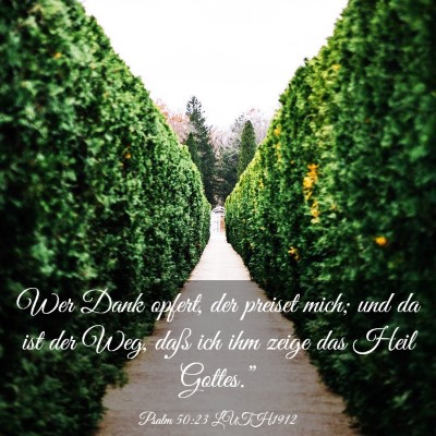 Picture 03 - Psalm 50:23 LUTH1912 - Wer Dank opfert, der preiset mich; und da ist der - Bible Verse Picture
