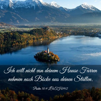 Picture 03 - Psalm 50:9 LUTH1912 - Ich will nicht von deinem Hause Farren nehmen - Bible Verse Picture