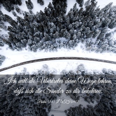 Picture 03 - Psalm 51:13 LUTH1912 - Ich will die Übertreter deine Wege lehren, daß - Bible Verse Picture