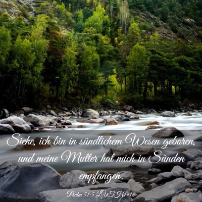 Picture 03 - Psalm 51:5 LUTH1912 - Siehe, ich bin in sündlichem Wesen geboren, und - Bible Verse Picture