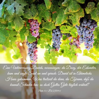 Picture 03 - Psalm 52:1 LUTH1912 - Eine Unterweisung Davids, vorzusingen; da Doeg, - Bible Verse Picture