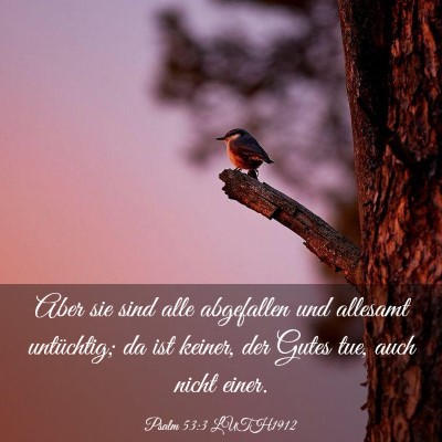 Picture 03 - Psalm 53:3 LUTH1912 - Aber sie sind alle abgefallen und allesamt - Bible Verse Picture
