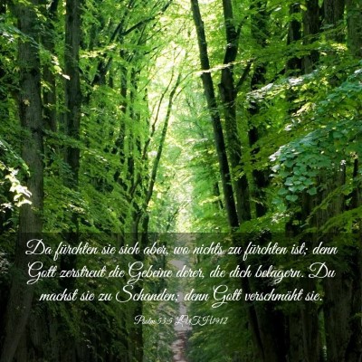 Picture 03 - Psalm 53:5 LUTH1912 - Da fürchten sie sich aber, wo nichts zu - Bible Verse Picture