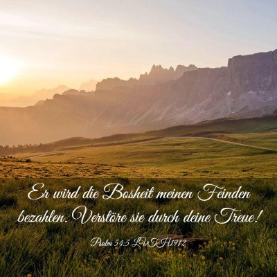 Picture 03 - Psalm 54:5 LUTH1912 - Er wird die Bosheit meinen Feinden bezahlen. - Bible Verse Picture