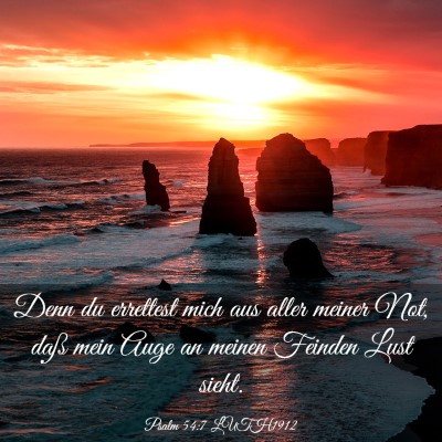 Picture 03 - Psalm 54:7 LUTH1912 - Denn du errettest mich aus aller meiner Not, daß - Bible Verse Picture
