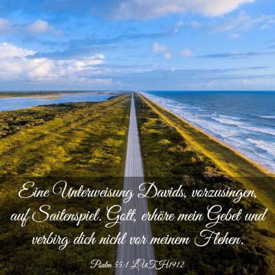 Picture 03 - Psalm 55:1 LUTH1912 - Eine Unterweisung Davids, vorzusingen, auf - Bible Verse Picture