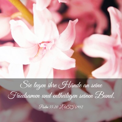 Picture 03 - Psalm 55:20 LUTH1912 - Sie legen ihre Hände an seine Friedsamen und - Bible Verse Picture