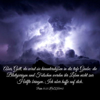 Picture 03 - Psalm 55:23 LUTH1912 - Aber, Gott, du wirst sie hinunterstoßen in die - Bible Verse Picture