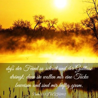 Picture 03 - Psalm 55:3 LUTH1912 - daß der Feind so schreit und der Gottlose - Bible Verse Picture