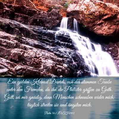 Picture 03 - Psalm 56:1 LUTH1912 - Ein gülden Kleinod Davids, von der stummen Taube - Bible Verse Picture