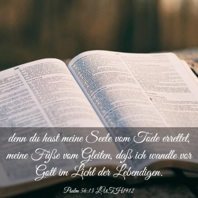 Picture 03 - Psalm 56:13 LUTH1912 - denn du hast meine Seele vom Tode errettet, meine - Bible Verse Picture