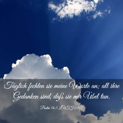Picture 03 - Psalm 56:5 LUTH1912 - Täglich fechten sie meine Worte an; all ihre - Bible Verse Picture