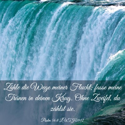 Picture 03 - Psalm 56:8 LUTH1912 - Zähle die Wege meiner Flucht; fasse meine - Bible Verse Picture