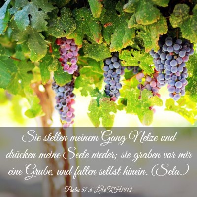 Picture 03 - Psalm 57:6 LUTH1912 - Sie stellen meinem Gang Netze und drücken meine - Bible Verse Picture