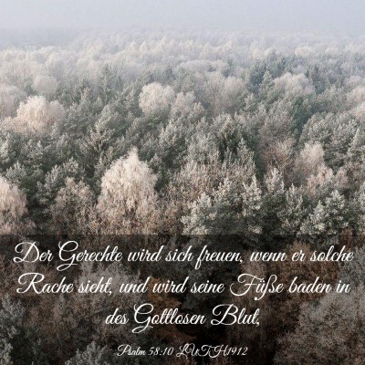 Picture 03 - Psalm 58:10 LUTH1912 - Der Gerechte wird sich freuen, wenn er solche - Bible Verse Picture