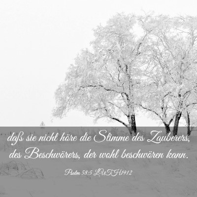 Picture 03 - Psalm 58:5 LUTH1912 - daß sie nicht höre die Stimme des Zauberers, - Bible Verse Picture