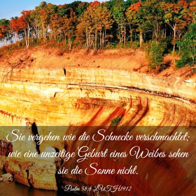 Picture 03 - Psalm 58:8 LUTH1912 - Sie vergehen wie die Schnecke verschmachtet; wie - Bible Verse Picture