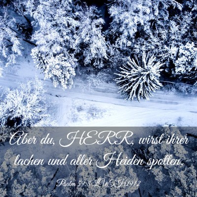 Picture 03 - Psalm 59:8 LUTH1912 - Aber du, HERR, wirst ihrer lachen und aller - Bible Verse Picture