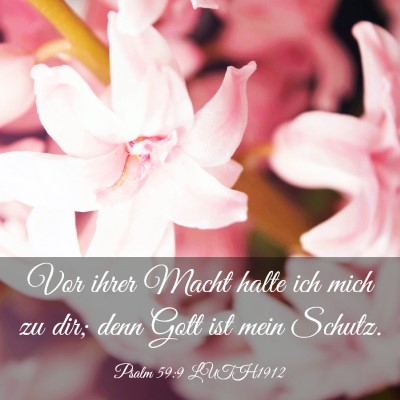 Picture 03 - Psalm 59:9 LUTH1912 - Vor ihrer Macht halte ich mich zu dir; denn Gott - Bible Verse Picture