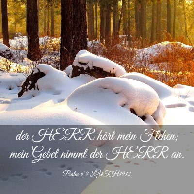 Picture 03 - Psalm 6:9 LUTH1912 - der HERR hört mein Flehen; mein Gebet nimmt der - Bible Verse Picture