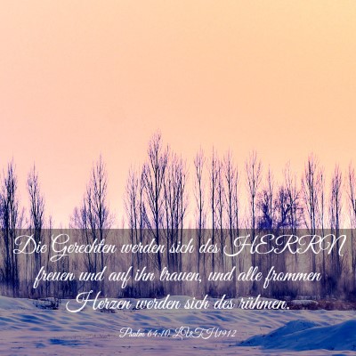 Picture 03 - Psalm 64:10 LUTH1912 - Die Gerechten werden sich des HERRN freuen und - Bible Verse Picture