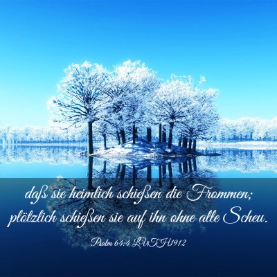 Picture 03 - Psalm 64:4 LUTH1912 - daß sie heimlich schießen die Frommen; - Bible Verse Picture