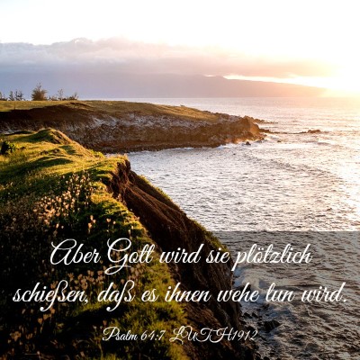 Picture 03 - Psalm 64:7 LUTH1912 - Aber Gott wird sie plötzlich schießen, daß es - Bible Verse Picture