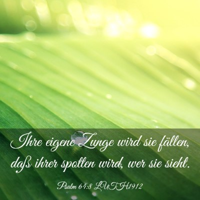 Picture 03 - Psalm 64:8 LUTH1912 - Ihre eigene Zunge wird sie fällen, daß ihrer - Bible Verse Picture