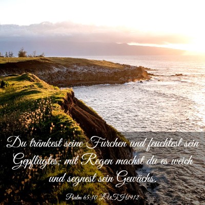 Picture 03 - Psalm 65:10 LUTH1912 - Du tränkest seine Furchen und feuchtest sein - Bible Verse Picture