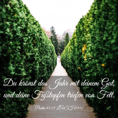 Picture 03 - Psalm 65:11 LUTH1912 - Du krönst das Jahr mit deinem Gut, und deine - Bible Verse Picture