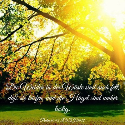 Picture 03 - Psalm 65:12 LUTH1912 - Die Weiden in der Wüste sind auch fett, daß sie - Bible Verse Picture