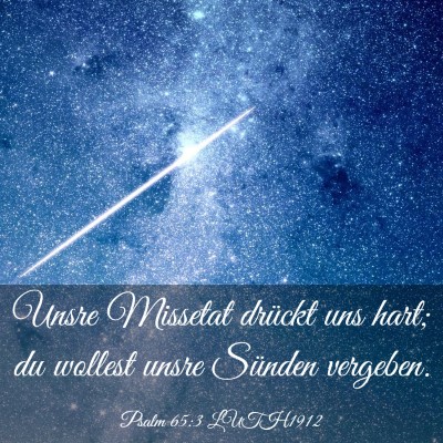 Picture 03 - Psalm 65:3 LUTH1912 - Unsre Missetat drückt uns hart; du wollest unsre - Bible Verse Picture