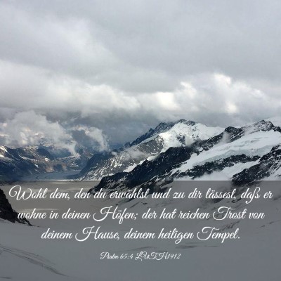 Picture 03 - Psalm 65:4 LUTH1912 - Wohl dem, den du erwählst und zu dir lässest, - Bible Verse Picture