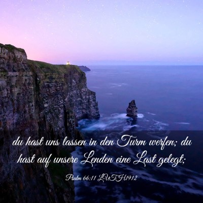 Picture 03 - Psalm 66:11 LUTH1912 - du hast uns lassen in den Turm werfen; du hast - Bible Verse Picture