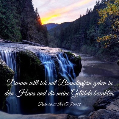 Picture 03 - Psalm 66:13 LUTH1912 - Darum will ich mit Brandopfern gehen in dein Haus - Bible Verse Picture
